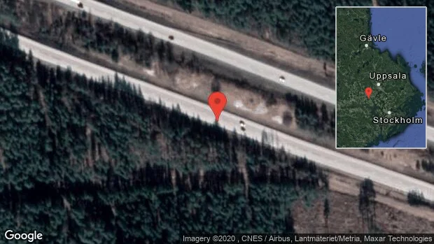 Rådjur på vägen på E18