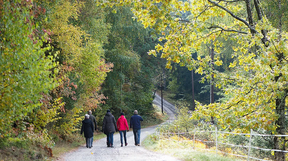 Flera generationer på promenad.