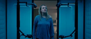 Biotoppen: "The invisible man" klättrar 