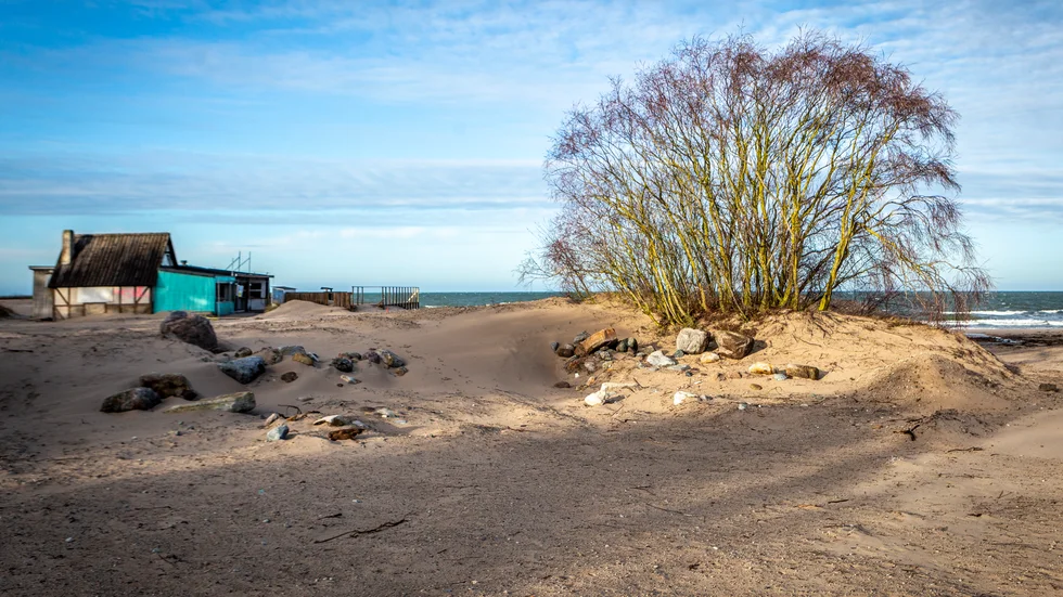 Tofta strand.