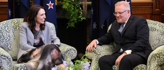 Australien och Nya Zeeland kan öppna flygzon