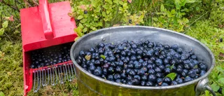 Enklare följa aktuellt kollektivavtal 