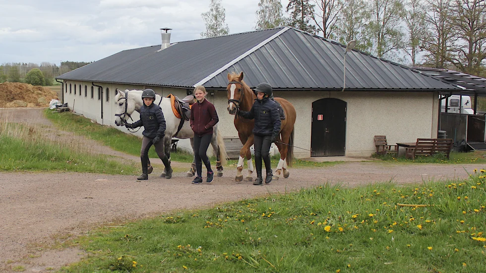 Tvillingbröderna Elis och Svante Lind kör cross, spelar hockey och fotboll - och rider. Enligt Svenska Ridsportförbundet är bara tio procent av medlemmarna killar. Även Klara Steén har häst i Stall Sinnerstad.