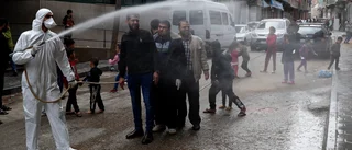 Första virusfallen i Gaza