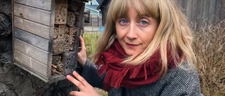 Så vill pollinatörerna ha det i trädgården