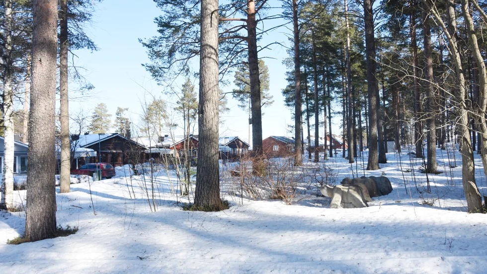 Skogsområdet intill Hyvelgränd och Stickvägen på Notviken är återigen aktuell för markanvisning till Lindbäcks, som planerar att bygga bostadsrättslägenheter och radhus på området.