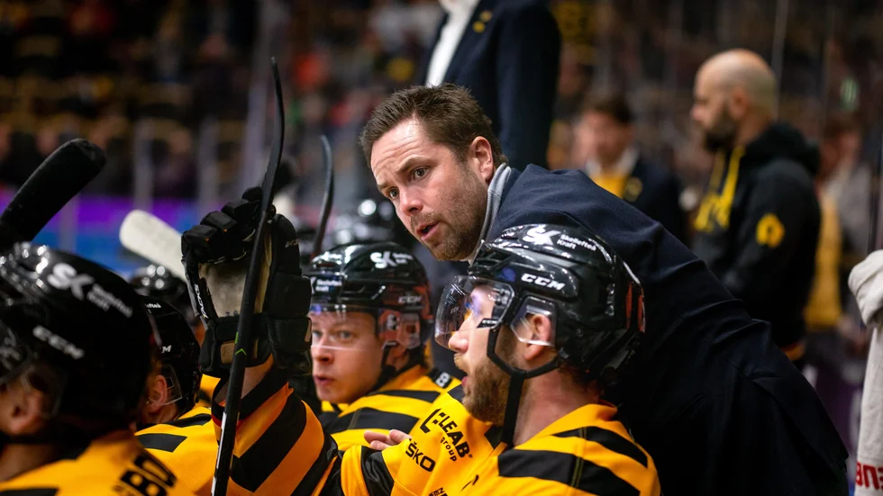 Stefan Hedlund stannar i Skellefteå AIK. 