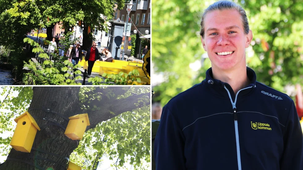 Sommargatan har blivit uppskattad av Uppsalaborna. Nu är det dags för en till, berättar projektledaren Jakob Andersson.