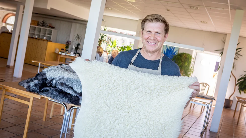 Kjell Nilsson, Graute gård är mässgeneral på Gotlands Skinnmässa, och berättar om helgens publikfria tävling.