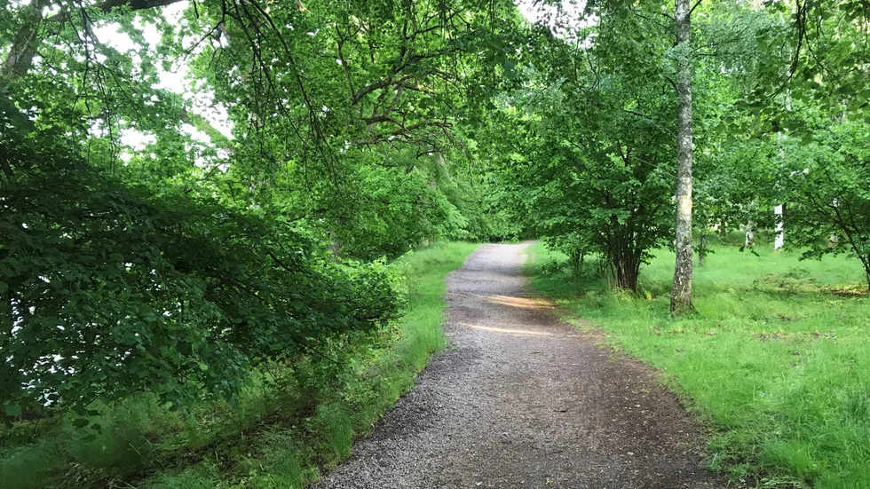 Cykelvägar längs vatten finns det massor av i Motala, här längs sjön Boren i Sjöboknäppan. En plats som passerades i helgens annorlunda cykelfest.