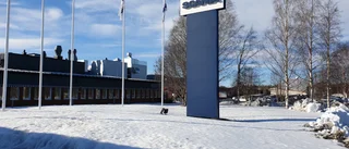 Också den ekonomiska kriskurvan måste plattas