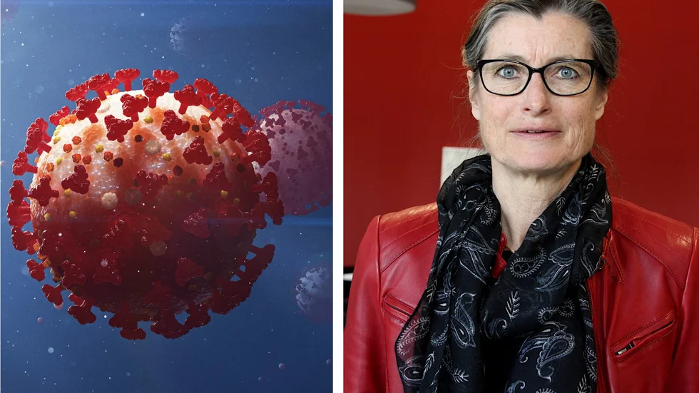 Nya riktlinjer införs för att fler personer i prioriterade grupper ska testas för covid-19,  och för vård- och omsorgspersonal gäller särskilda direktiv.