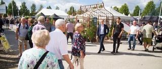 Förslag på miljontillskott för att rädda Nolia