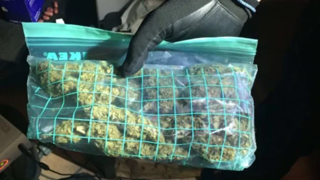 Nästan ett kilo cannabis påträffades i lägenheten i Piteå. På tisdagen avhandlades målet mot det åtalade paret i tingsrätten. Om en vecka avkunnas dom. (Bilden är från ett annat brottmål.)