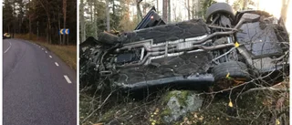 Vansinnesfärd slutade i skogen – och med åtal
