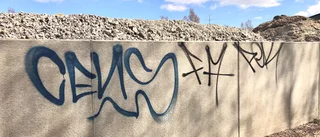 Klotter för 74 000 kronor: "Det är pinsamt"