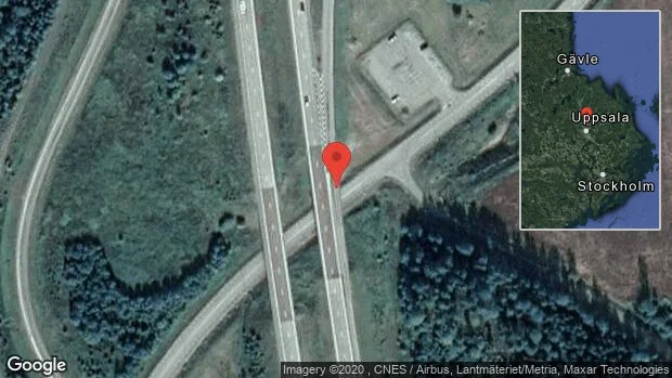 Rådjur på vägen på E4