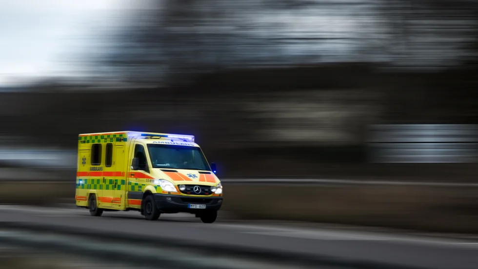 En ung flicka fick föras till sjukhus efter att ha blivit svårt hundbiten i benet.