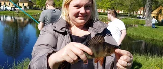 TV: Abborre på menyn för Österbyfiskare