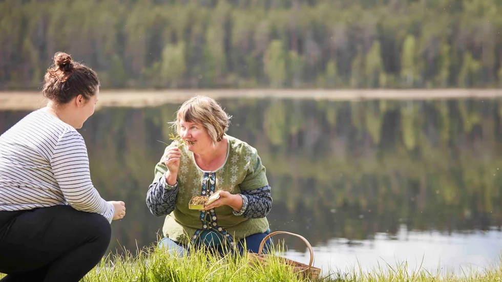 Eva Gunnare plockar växter kring Jokkmokk som hon använder till mat och dryck.