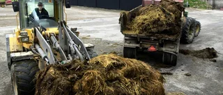 Kommunen är kritisk till biogasförslaget: "Det vore jättemärkligt"