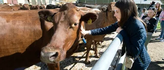 Svensk matproduktion håller Sverige levande