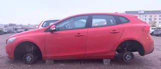 "Oangenäm överraskning på morgonen"