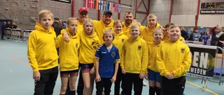 Fina framgångar för Team Sörmland