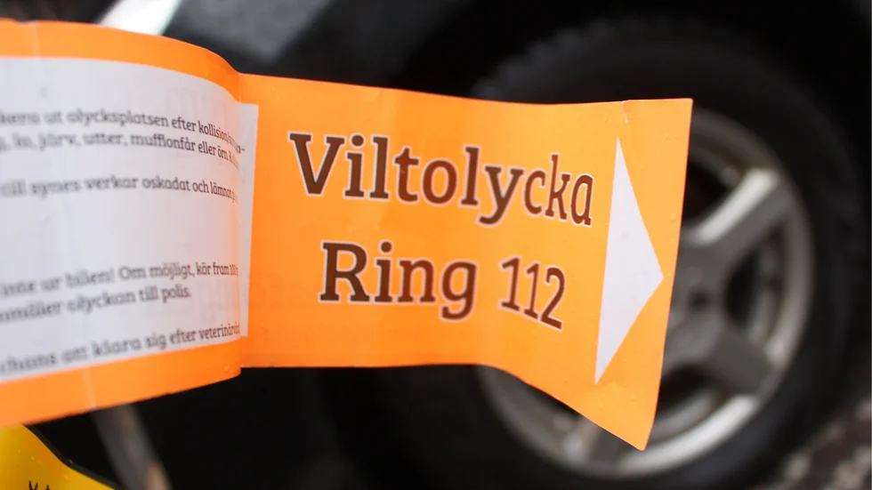 Vem gömmer sig bakom dagens lucka?