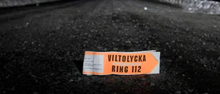 Polisen: Ovanligt många viltolyckor i kväll