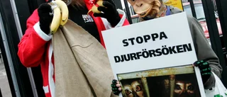 Djur som reservdelar för människan