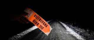 Bilförare smet från viltolycka     