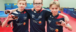 Topplaceringar för bordtennisungdomar