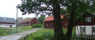 Planeringen av Marielund på bordet igen