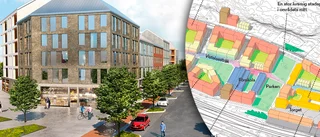 Nu presenteras planerna för Nöthagen