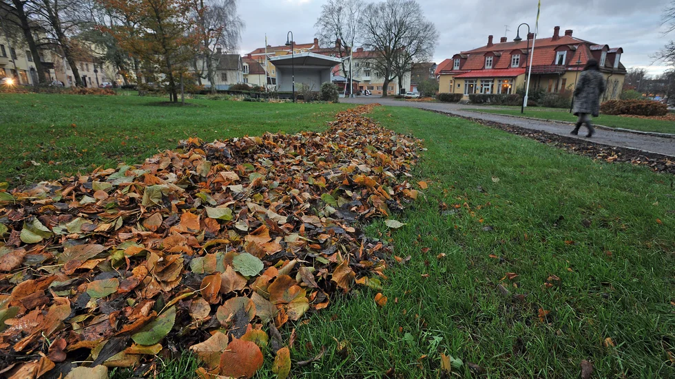 Insändarskribenten tycker att Strängnäs parkförvaltning skulle plantera perenner i parkerna i Strängnäs.