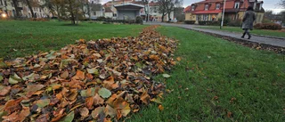 Strängnäs parkförvalting-tänk nytt!