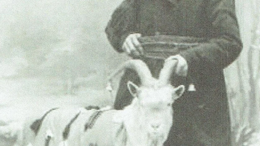 ”Jultomten i Roknäs”, Theodor Aspelin (1829-1918) poserar här med sin get.