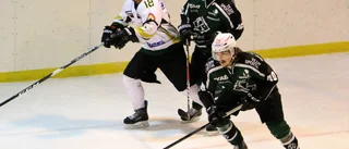 Lyckad lördag i hockeytvåan           