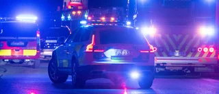 Älg i krock med två bilar på väg 52