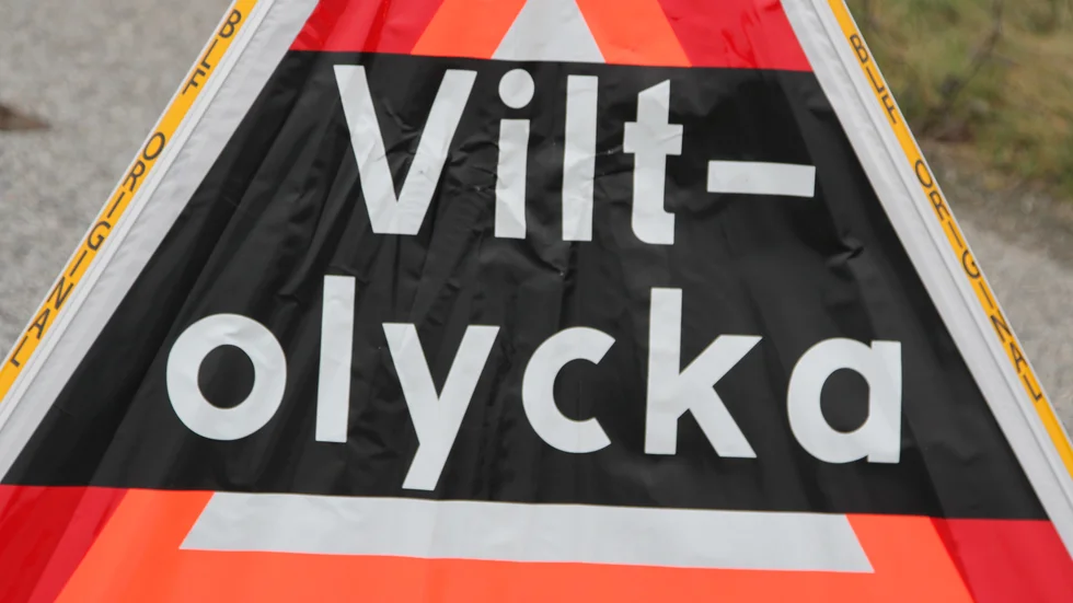 Tre viltolyckor inträffade vid middagstid på fredagen.