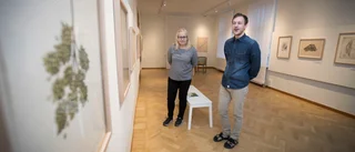 Solander i konsten i ny utställning