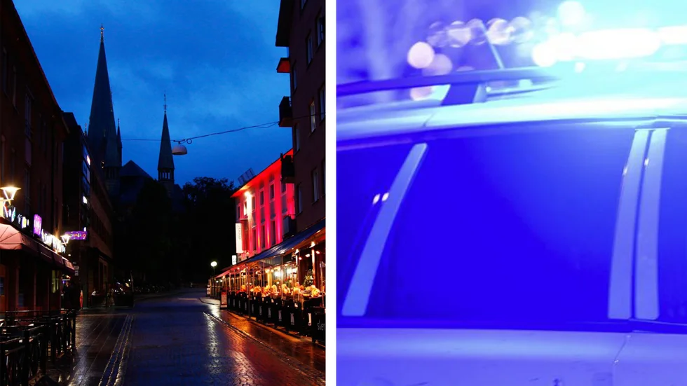 En 29-årig kvinnan har åtalats för att ha misshandlat en ordningsvakt på en krog på Ågatan. 