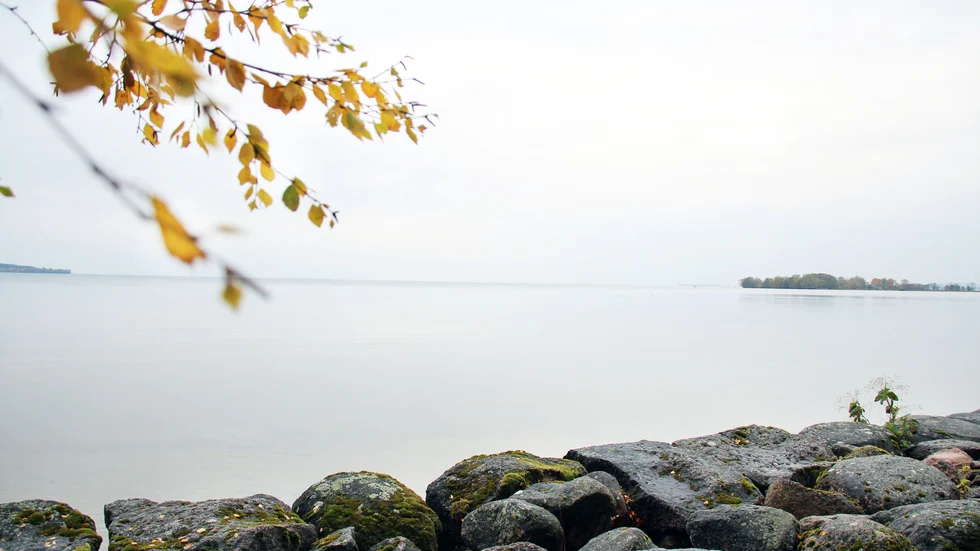 Vättern från Vadstena.