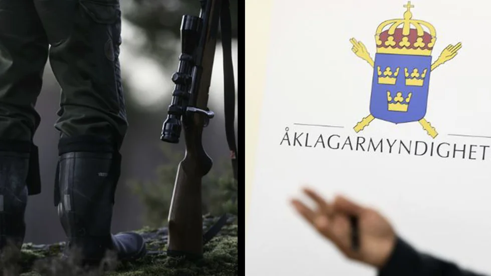En 64-årig man sköt en älg under otillåten tid. Nu fölls han för jaktbrott. (Bilderna är tagna i andra sammanhang.) 