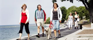 Det behövs skyddsräcken på strandpromenaden