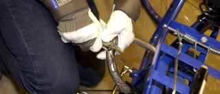Fängelse för cykelhäleri i stor skala