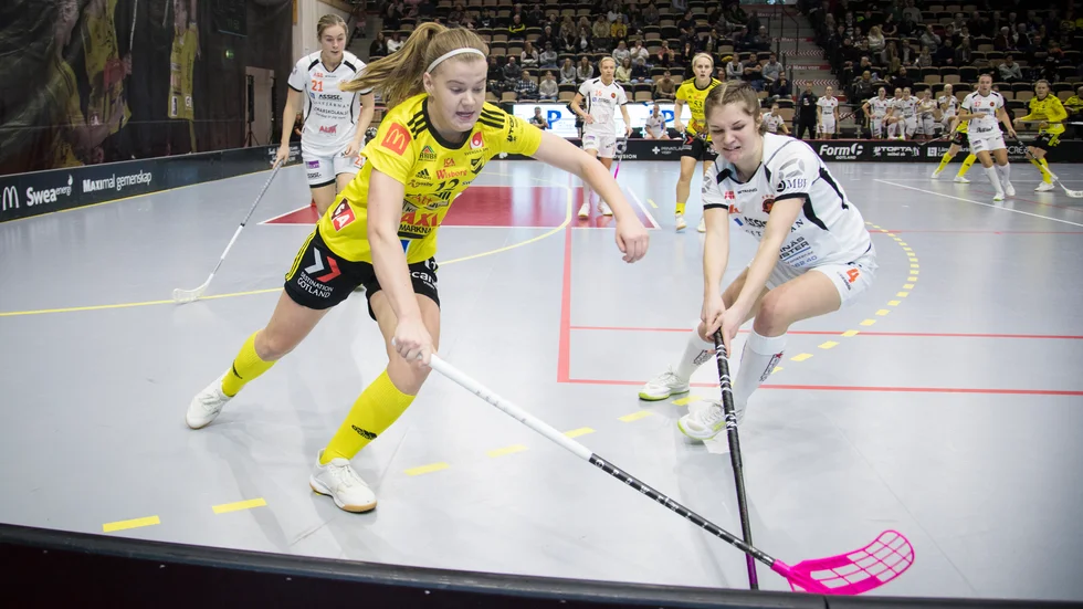 Ellen Bäckstedt och Endre reser till västkusten.