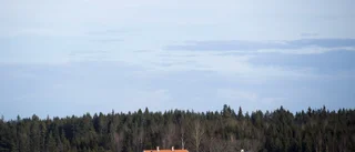 Politiken förstör elmarknaden 