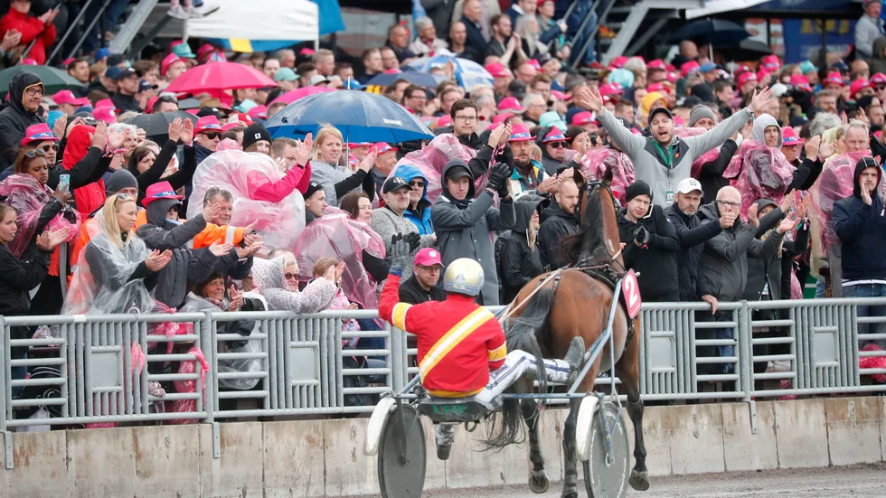 Readly Express blev struken och tog ett adjö från travet innan ens finalen av Elitloppet 2019 hade startat. 